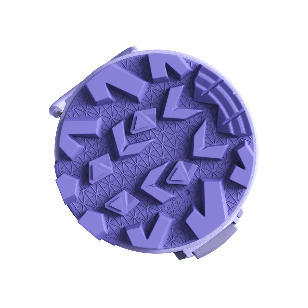Botella de agua térmica SHUKLAM de 19.6 oz, color morado y azul